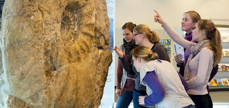 Münster bietet kulturinteressierten eine Vielzahl an Museen von Naturkunde bis Lackkunst