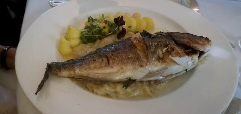 Eine ganze Dorade wurde beim Fisch-Hauptgang serviert. Nicht einfach diese Knigge-gerecht zu essen.