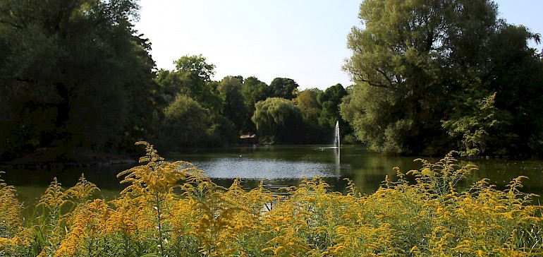 Schöner See im Lund