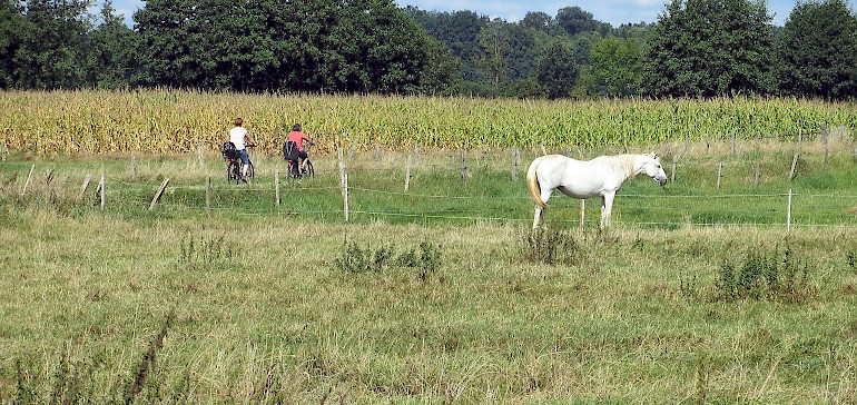 Weite, flache Ebenen erwarten Radfahrer im Münsterland